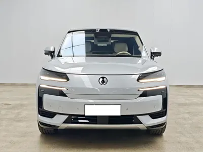 Denza 腾势N9