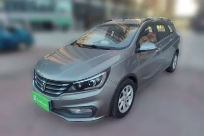 Baojun 310W