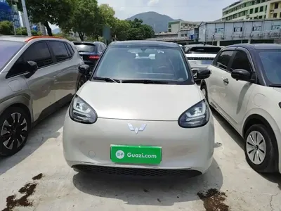 Wuling Bingo