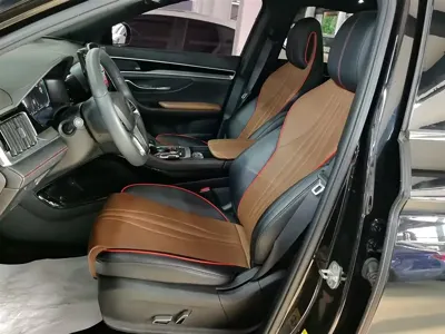 BYD PLUS