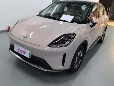 Wuling 缤果S