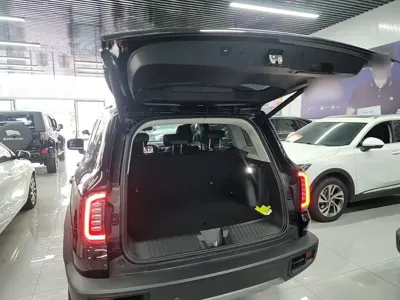 Haval Big Dog