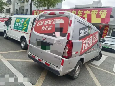 Wuling Wuling EV50