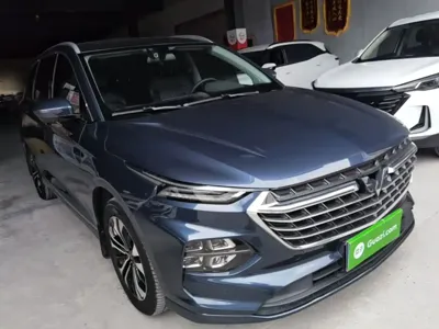 Wuling Victory