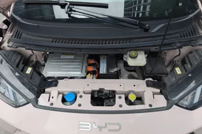 BYD Seagull