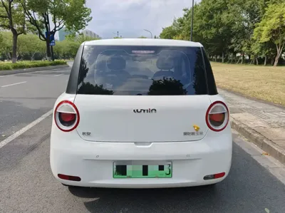Qiyuan Lumin
