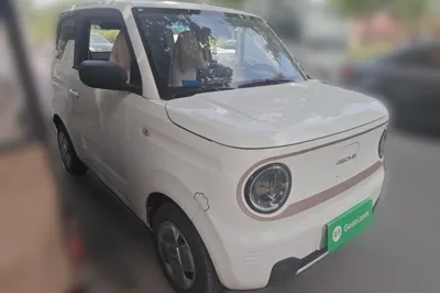 Geely Galaxy Panda