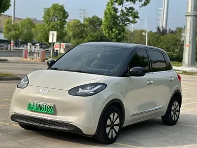 Wuling Bingo