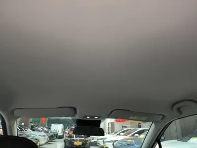 NETA Neta V