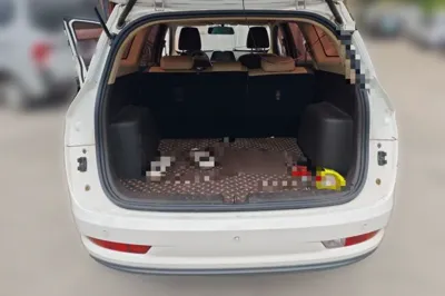 Baojun 310W
