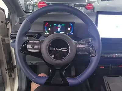 BYD Seagull
