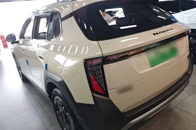 Dongfeng NAMMI 06