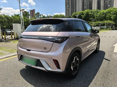 BYD Dolphin