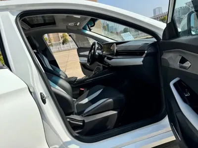 Geely Binrui