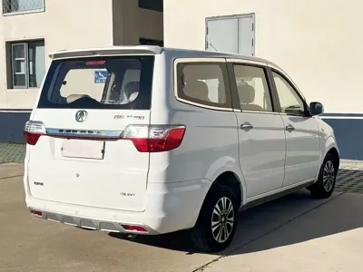 BAW Weiwang M20