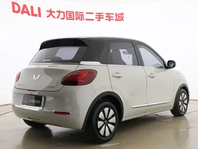 Wuling Bingo