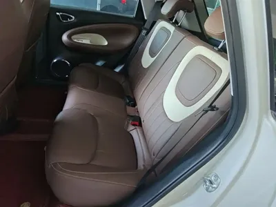 Wuling Bingo
