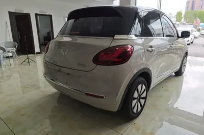 Wuling Bingo