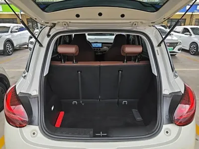 Wuling Bingo