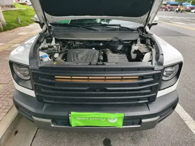 Haval Menglong New Energy