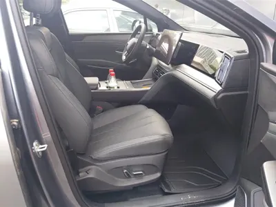 BYD L DM-i
