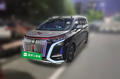 Denza D9