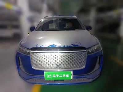 Li Auto ONE