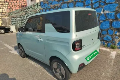 Geely Galaxy Panda