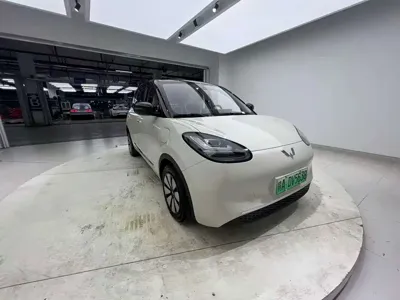 Wuling Bingo