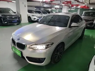 BMW 2 Series (Import)