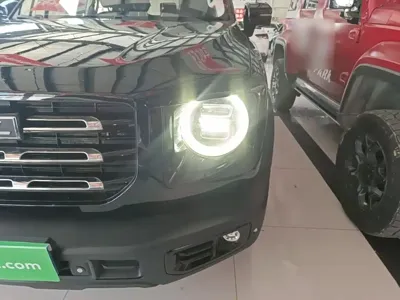 Haval Big Dog