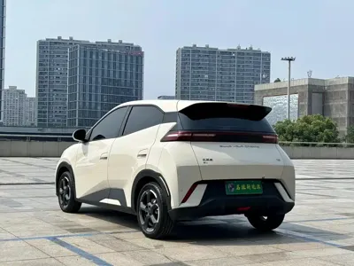 BYD Seagull
