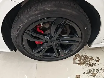 Geely Binrui