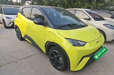 BYD Seagull