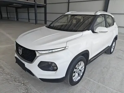 Baojun 510