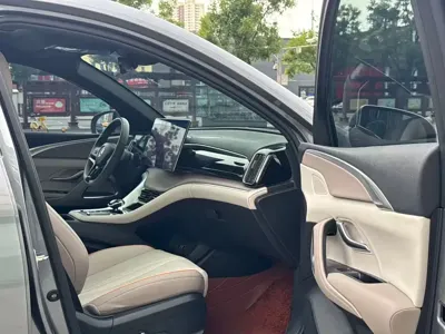 BYD Pro New Energy