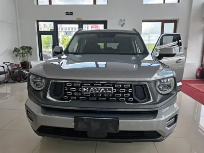 Haval 哈弗大狗 PLUS