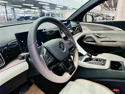 BYD Pro New Energy