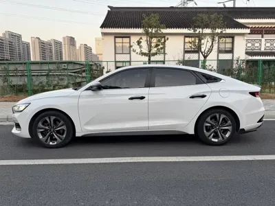Hyundai Fista