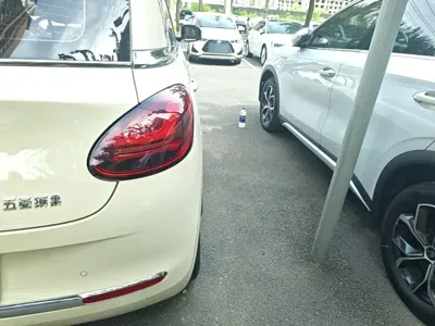 Wuling Bingo