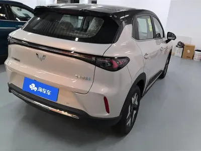 Wuling 缤果S