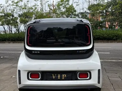 Baojun E300