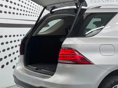Mercedes-Benz 奔驰GLE(进口)