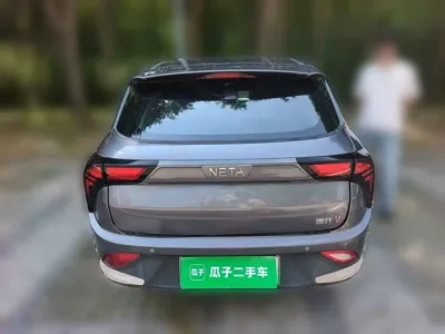 NETA Neta V