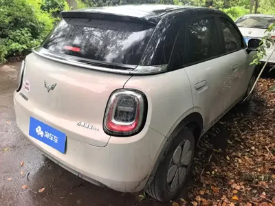 Wuling 缤果Pro