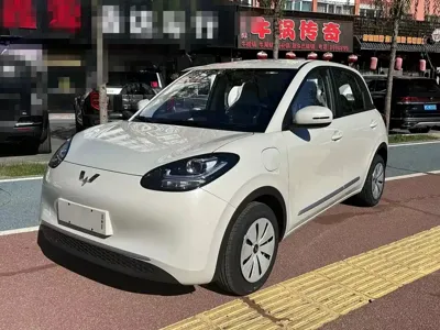 Wuling Bingo