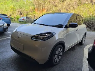 Wuling Bingo