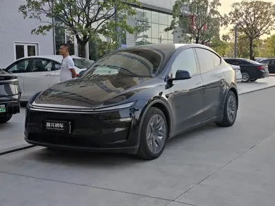 Tesla Model Y L