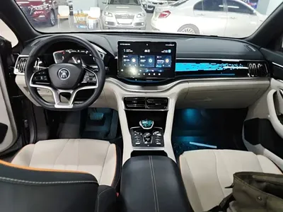 BYD PLUS New Energy