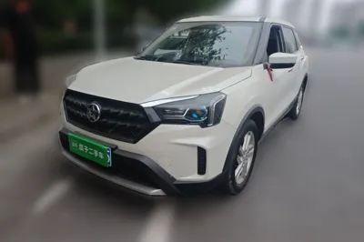 Venucia T60